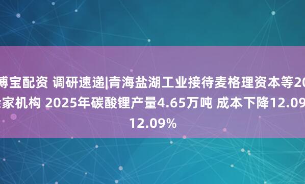 博宝配资 调研速递|青海盐湖工业接待麦格理资本等20余家机构 2025年碳酸锂产量4.65万吨 成本下降12.09%